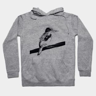 Kingfisher on the branch Hoodie